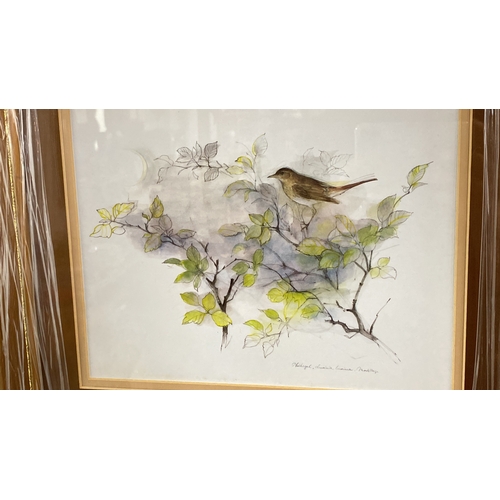 59 - Watercolor painting by Madeleine Massing, featuring a bird amidst foliage. Elegantly framed.  Measur... 