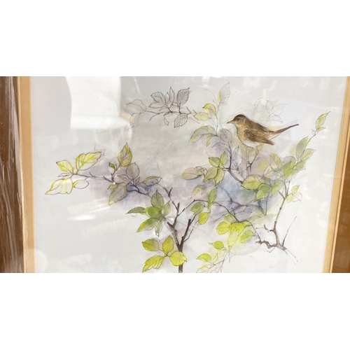 59 - Watercolor painting by Madeleine Massing, featuring a bird amidst foliage. Elegantly framed.  Measur... 