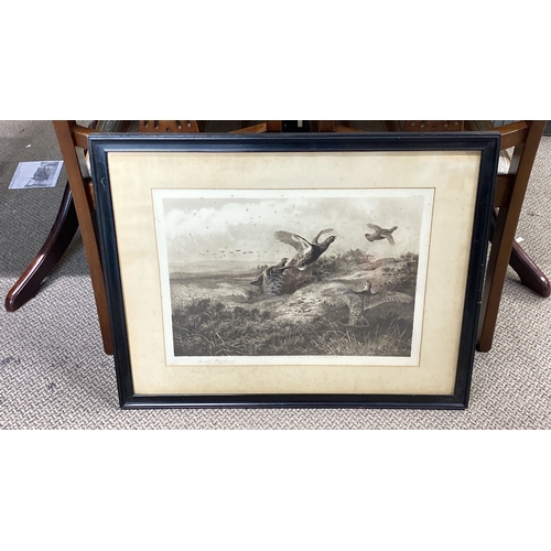 435 - Antique Framed etching print signed by Archibald Thorburn, depicting wildlife scene, titled 'Grouse'... 