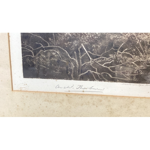 435 - Antique Framed etching print signed by Archibald Thorburn, depicting wildlife scene, titled 'Grouse'... 