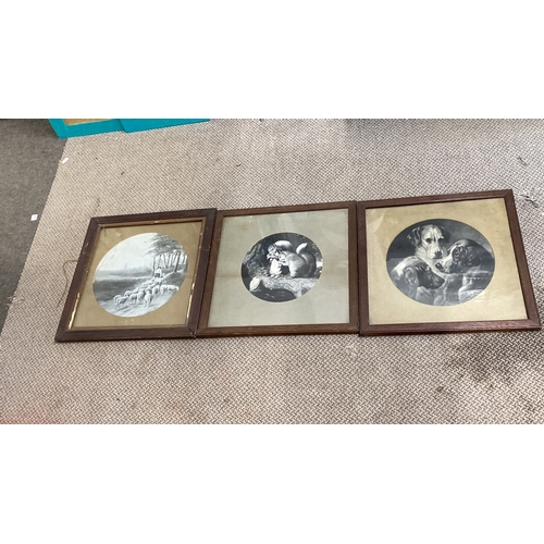 448 - Set of framed black and white prints depicting animals: squirrels and a trio of dogs.  Measuring 55x... 