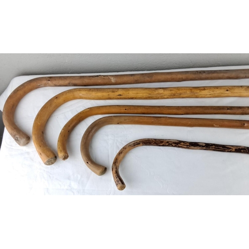 3 - Collection of five vintage walking sticks, each made from natural wood with unique curves.