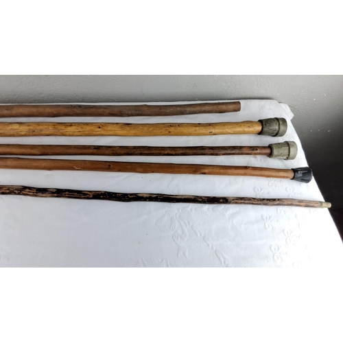 3 - Collection of five vintage walking sticks, each made from natural wood with unique curves.