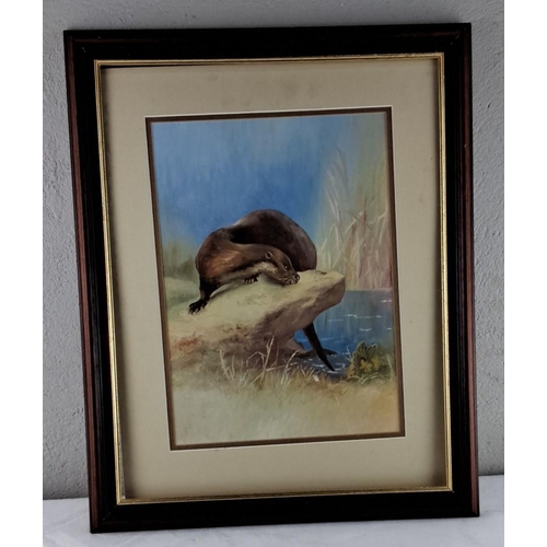 63 - Framed watercolour painting depicting an otter by a stream.