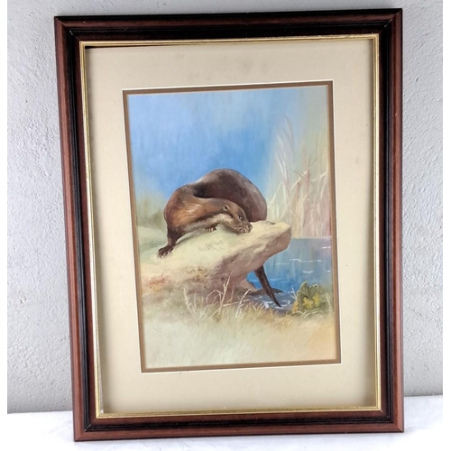 63 - Framed watercolour painting depicting an otter by a stream.