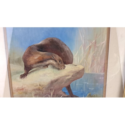 63 - Framed watercolour painting depicting an otter by a stream.