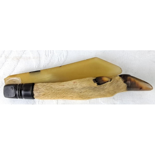 68 - Unusual antique Taxidermy letter opener.