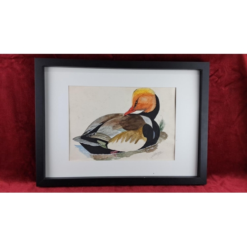 99 - Watercolour painting of a duck, signed by the artist, dated 2021, framed. Signature visible on artwo... 