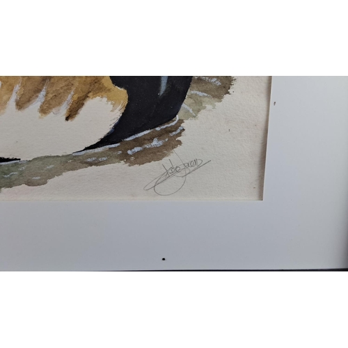 99 - Watercolour painting of a duck, signed by the artist, dated 2021, framed. Signature visible on artwo... 