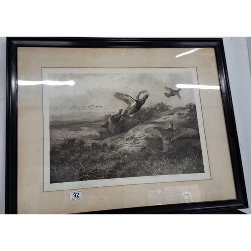 82 - Monochrome print depicting game birds in flight by Archibald Thorburn, signed. Framed, from the 19th... 