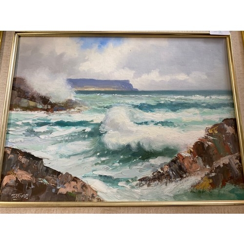 20 - An oil painting 'Rough Seas, Dunseverick' signed by Irish artist Danny Todd