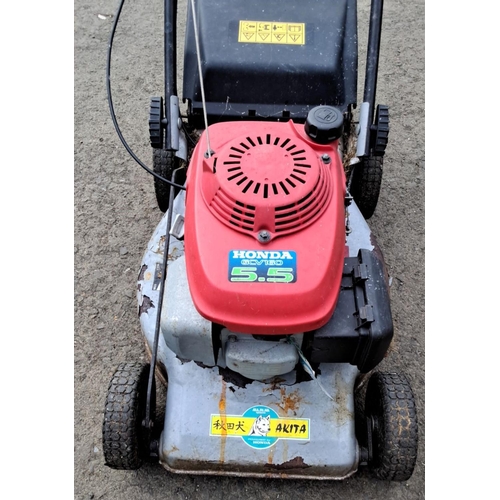 41 - Honda GCV160 lawn mower, self-propelled, featuring a 5.5 horsepower engine with a sturdy metal deck.