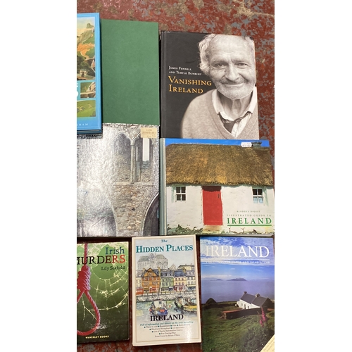 256 - Collection of books on Ireland, covering history, culture, geography, and notable places. Includes t... 