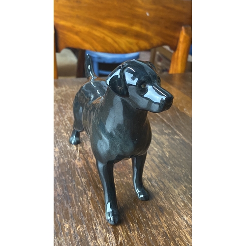 317 - Large Beswick black Labrador dog.