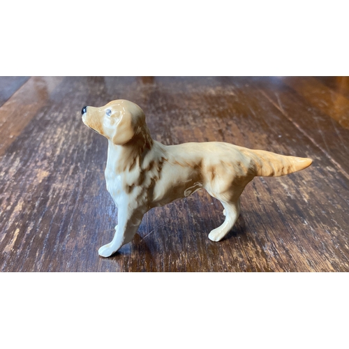 318 - Beswick figurine of a Golden Retriever, hand-painted with lifelike details. From the mid-20th centur... 