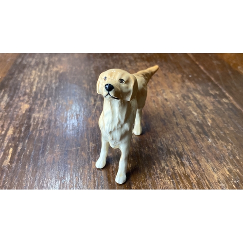 318 - Beswick figurine of a Golden Retriever, hand-painted with lifelike details. From the mid-20th centur... 