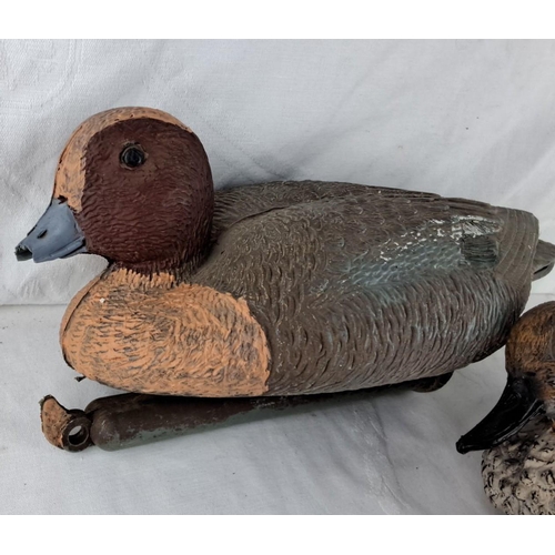 151 - Pair of vintage duck decoys, featuring detailed feather texture and lifelike paint.