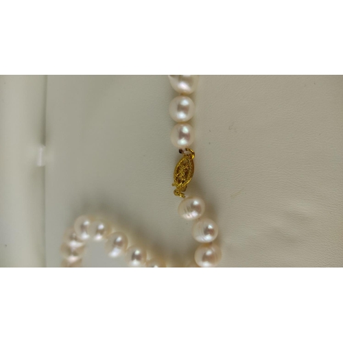 483 - Akoya hand-strung cultured pearl necklace features a delicate gold clasp. Presented in original disp... 