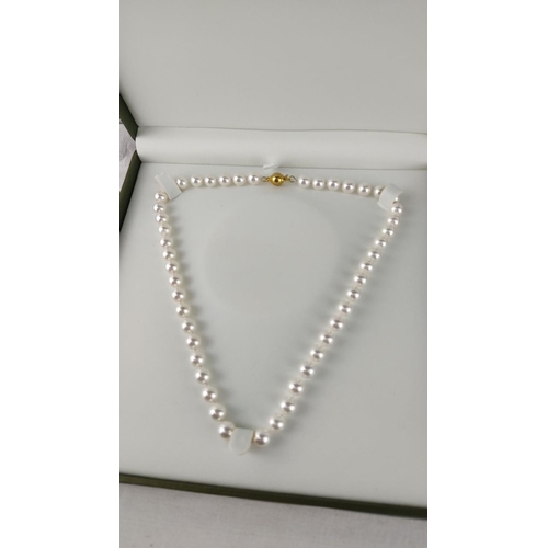 499 - Cultured pearl necklace with a gold clasp, presented in a box. Lustrous pearls add sophistication.