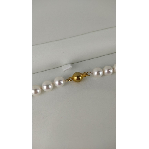 499 - Cultured pearl necklace with a gold clasp, presented in a box. Lustrous pearls add sophistication.