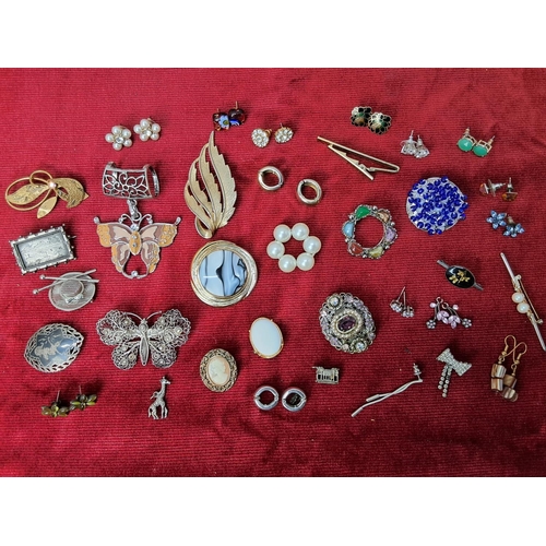 56 - A large collection of brooches, earrings etc.