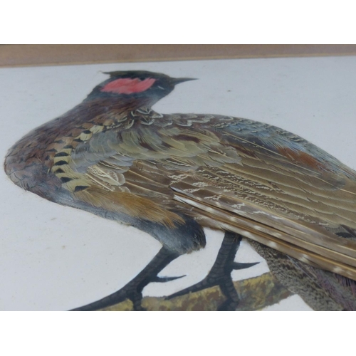 2 - A framed art piece of a pheasant, made from real feathers.