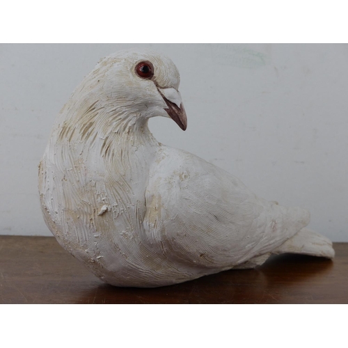 32 - A life-size ceramic dove.