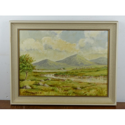 131 - An original oil on board painting of a Country Landscape, signed, H Hunsdale, dated 1989, measuring ... 