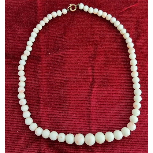 366 - A stunning set of antique graduating pearls.