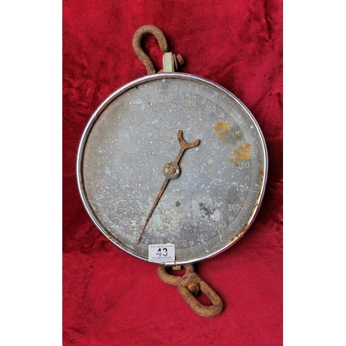 43 - A vintage Salter 100lb Spring Balance scale. Measuring 27.5cm in diameter.