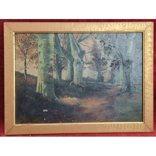 161 - An original oil on canvas painting of a forest scene in gilt frame, measuring 30cm x 40cm.