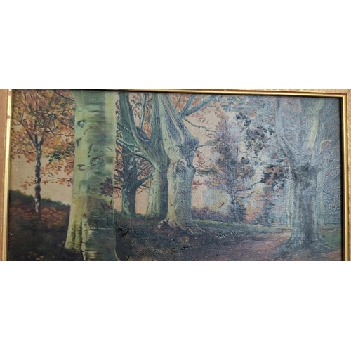 161 - An original oil on canvas painting of a forest scene in gilt frame, measuring 30cm x 40cm.