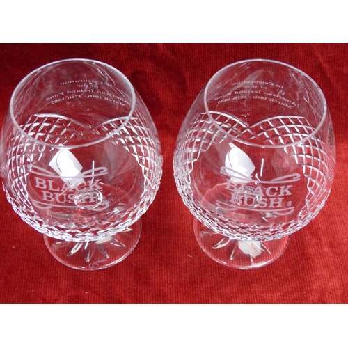 410 - Two Galway crystal whiskey glasses with etched detail - Black Bush - In Celebration of the American ... 