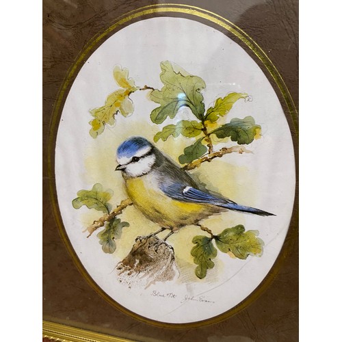 348 - Two vintage framed prints of birds.