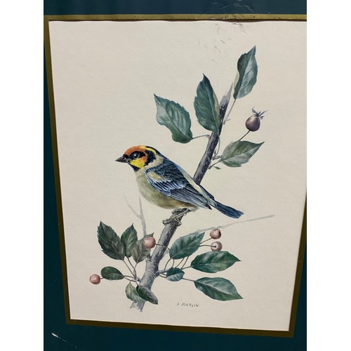 348 - Two vintage framed prints of birds.