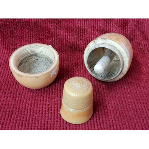 76 - A stunning antique bone thimble case and bone thimble.