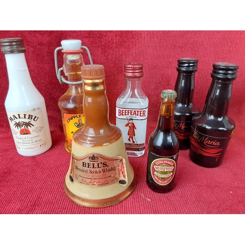 139 - An assortment of miniature drink bottle to include Napoleon brandy, Bells whisky and more,