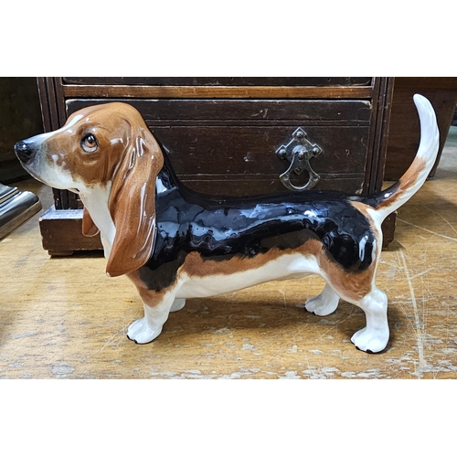 28 - A Beswick figure of a Bassett Hound dog.