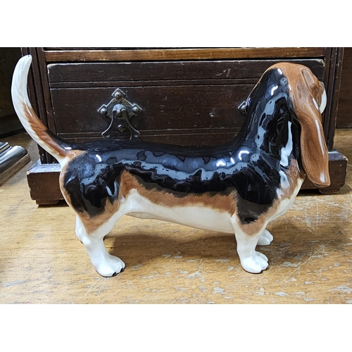 28 - A Beswick figure of a Bassett Hound dog.