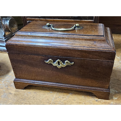 31 - A stunning antique mahogany tea caddy, measuring 23.5cm x 15cm x 14cm.