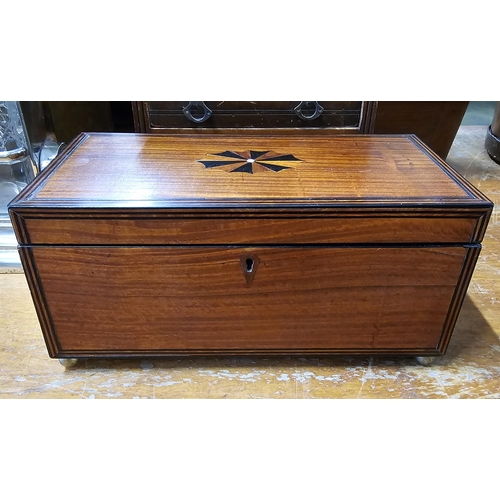 70 - A stunning antique/ Georgian mahogany tea caddy with inlaid design & bras lion mask handles, 30cm x ... 