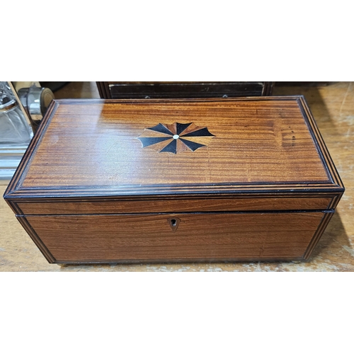 70 - A stunning antique/ Georgian mahogany tea caddy with inlaid design & bras lion mask handles, 30cm x ... 