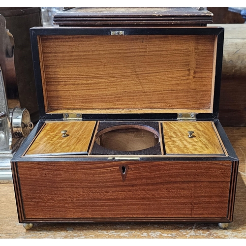 70 - A stunning antique/ Georgian mahogany tea caddy with inlaid design & bras lion mask handles, 30cm x ... 