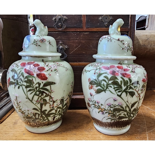 75 - A stunning pair of antique Chinese ginger jars with hand painted floral designs, measuring 22cm.