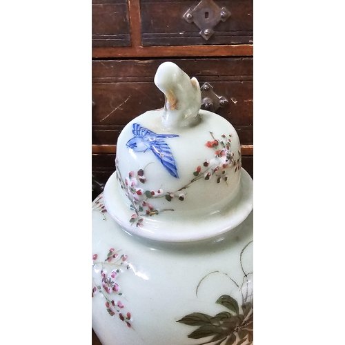 75 - A stunning pair of antique Chinese ginger jars with hand painted floral designs, measuring 22cm.