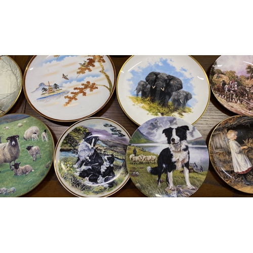 88 - A lot of collectors plates to include Coalport, Royal Doulton, Wedgwood and more.