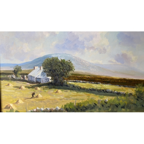 24 - A framed oil painting 'Near Gortahork, Co Donegal' signed R T Cochrane.