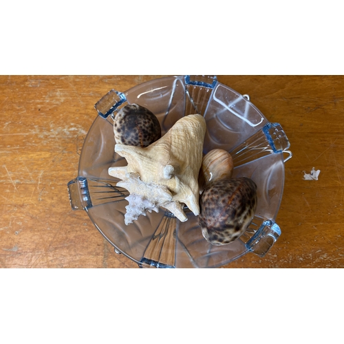 256 - A vintage teak and metal fruit bowl, a glass bowl and a lot of sea shells.