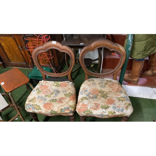 438 - A pair of antique mahogany balloon back chairs.