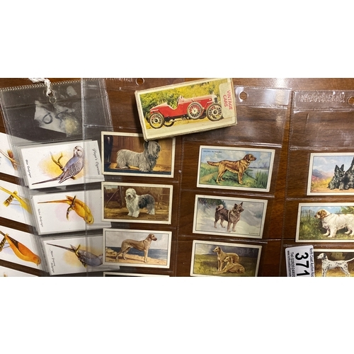 371 - A collection of antique cigarette cards.